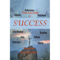 The Secrets of Success - Paperback