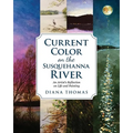 Current Color on the Susquehanna River: An Artist's Reflection on Life and Painting - Paperback