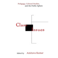 Class Issues: Pedagogy, Cultural Studies, and the Public Sphere - Hardcover