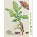 Maria Sibylla Merian - Hardcover