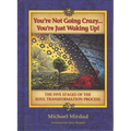 You're Not Going Crazy... You're Just Waking Up!: The Five Stages of the Soul Transformation Process - Hardcover