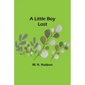 A Little Boy Lost - Paperback