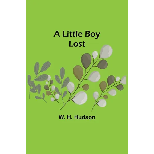 A Little Boy Lost - Paperback