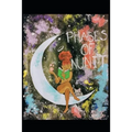 Phases Of Nunit - Paperback