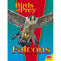 Falcons - Paperback