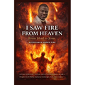 I Saw Fire from Heaven: From Jihad to Jesus - Allegiance Under Fire - Paperback