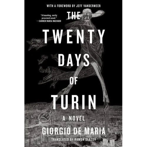 The Twenty Days of Turin - Paperback