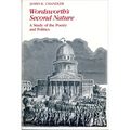 Wordsworth's Second Nature: A Study of the Poetry and Politics - Paperback