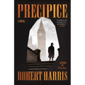 Precipice - Paperback