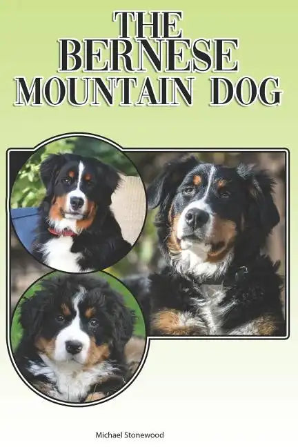 The Bernese Mountain Dog: A Complete and Comprehensive Beginners Guide To: Buying, Owning, Health, Grooming, Training, Obedience, Understanding - Paperback