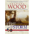 The Fire that Calms the Storm: A Story of the Civil War - Hardcover