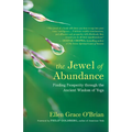 The Jewel of Abundance: Finding Prosperity Through the Ancient Wisdom of Yoga - Paperback