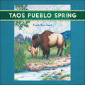 Taos Pueblo Spring - Board Book