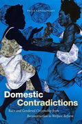 Domestic Contradictions: Race and Gendered Citizenship from Reconstruction to Welfare Reform - Paperback