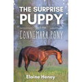The Surprise Puppy and the Connemara Pony - The Coral Cove Horses Series - Paperback