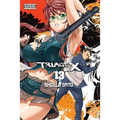 Triage X, Volume 13 - Paperback