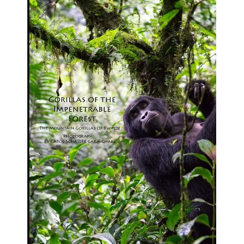 Gorillas of the Impenetrable Forest: The Mountain Gorillas of Bwindi - Paperback