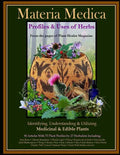 Materia Medica: Profiles & Uses of Herbs - Paperback