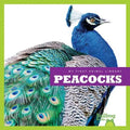 Peacocks - Hardcover