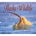 Alaska Wildlife Impressions - Paperback