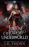 Fortune Academy Underworld: Book Five - Paperback