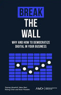 Break the Wall: Why and How to Democratize Digital in Your Business - Paperback