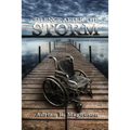 Silence After the Storm - Paperback