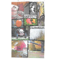 Snippets From a Small Vermont Town - Paperback