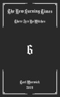 The New Burning Times: There Are No Witches - Paperback