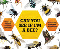 Can You See If I'm a Bee? - Hardcover