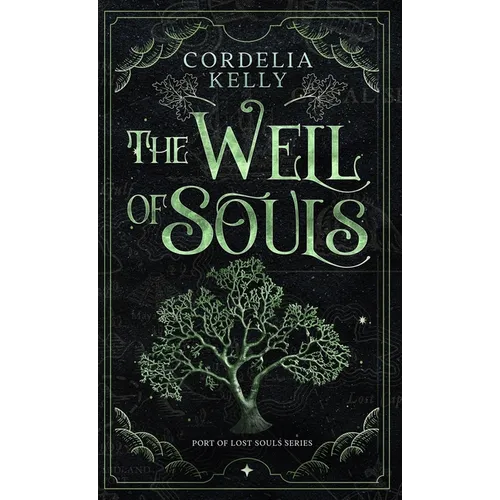 The Well of Souls - Hardcover