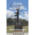 Echoes of Military Souls: a collection of poems - Paperback
