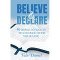 Believe & Declare: 40 Bible Nuggets to Decree Over Your Life - Paperback
