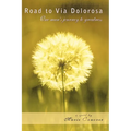 Road to Via Dolorosa - Paperback