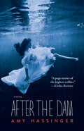 After the Dam - Paperback