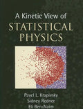 A Kinetic View of Statistical Physics - Hardcover