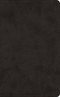 ESV Pocket Bible (Trutone, Black) - Imitation Leather