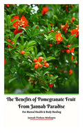 The Benefits of Pomegranate Fruit from Jannah Paradise For Mental Health and Body Healing - Paperback