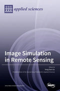 Image Simulation in Remote Sensing - Hardcover