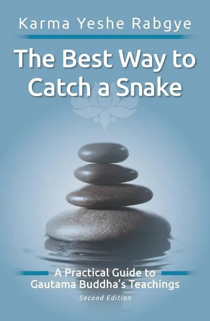 The Best Way to Catch a Snake: A Practical Guide To Gautama Buddha's Teachings - Paperback