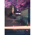 5 Centimeters Per Second: One More Side - Paperback