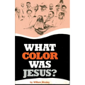 What Color Was Jesus? - Paperback