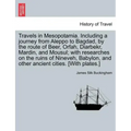 Travels in Mesopotamia. Including a journey from Aleppo to Bagdad, by the route of Beer, Orfah, Diarbekr, Mardin, and Mousul; with researches on the r - Paperback
