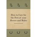 How to Care for the Feet of your Horses and Mules - Paperback
