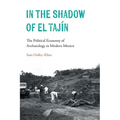 In the Shadow of El Tajín: The Political Economy of Archaeology in Modern Mexico - Paperback