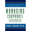 Managing Corporate Lifecycles - Paperback