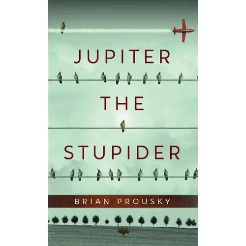 Jupiter the Stupider - Hardcover