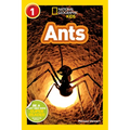 Ants (National Geographic Kids Readers, Level 1) - Paperback