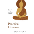 Practical Dharma - Paperback