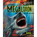 Megalodon - Library Binding